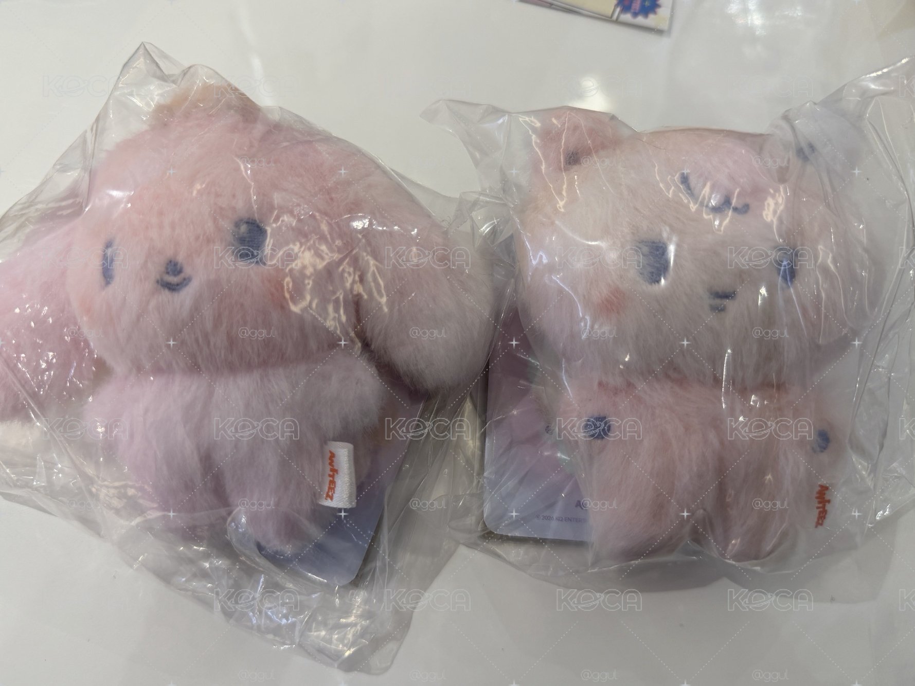 aniteez 染色娃