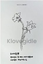 I BURN 明信片 flower ver.