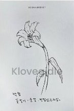 I BURN 明信片 flower ver.