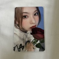 MS6玫瑰