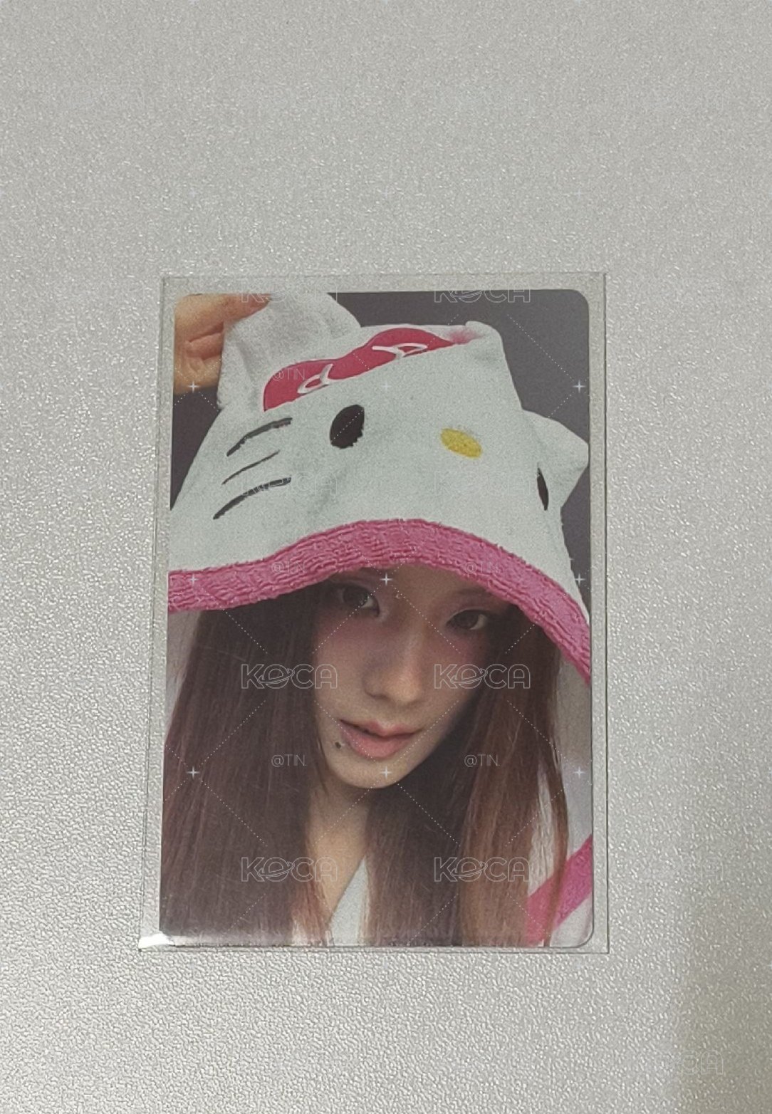 Kitty貓秀