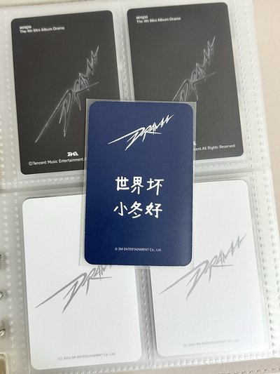 ［中背］小熊冬