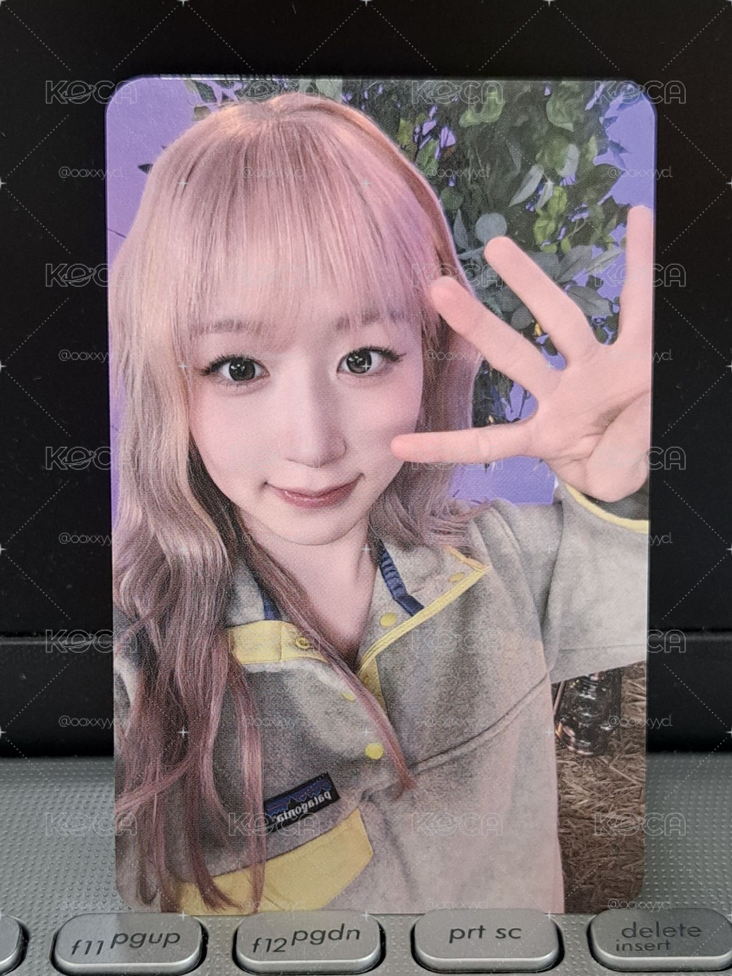 藍情 ms 4週年嫄
