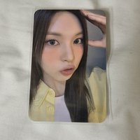 JYP LD 狗耳