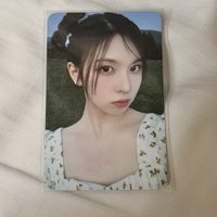 EL預售
