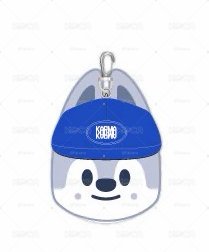 stray kids karma 大頭 方燦 