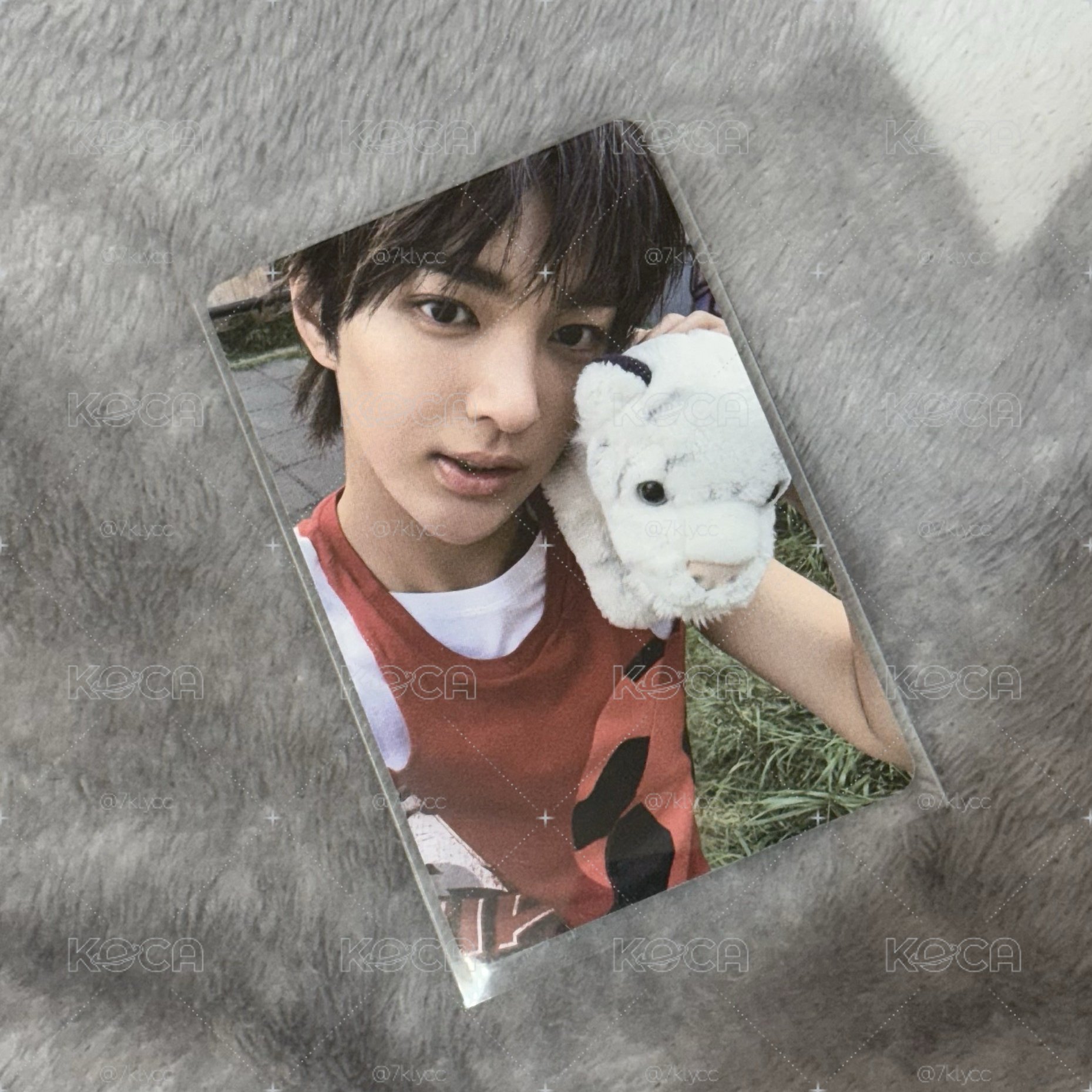 迷一 電子專卡B🐶