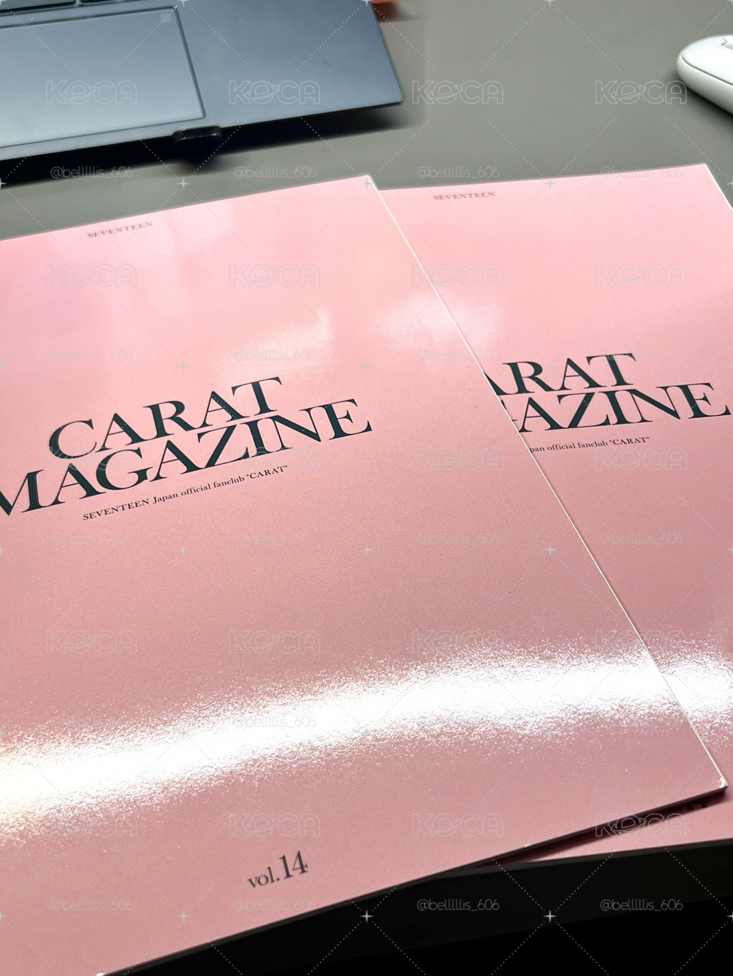 SVT日本會刊 vol.14