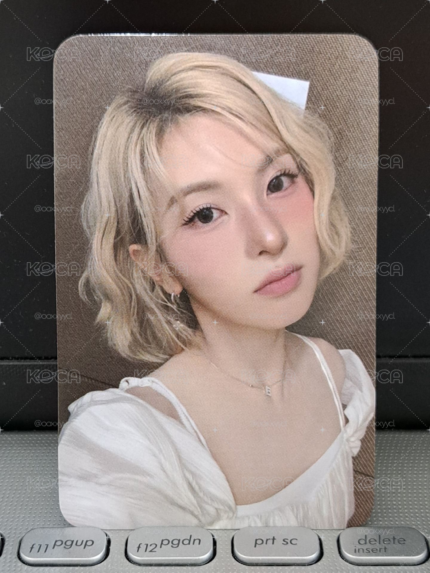 sw 月光天使裴