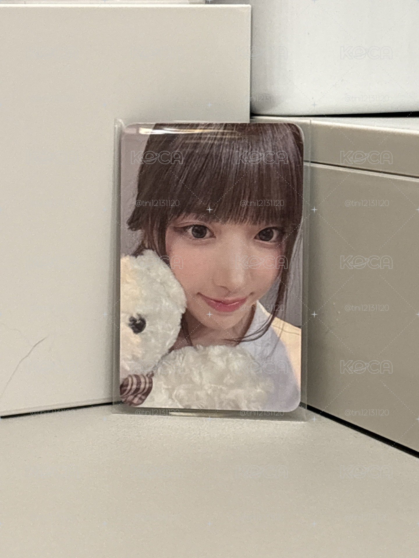 抱熊友