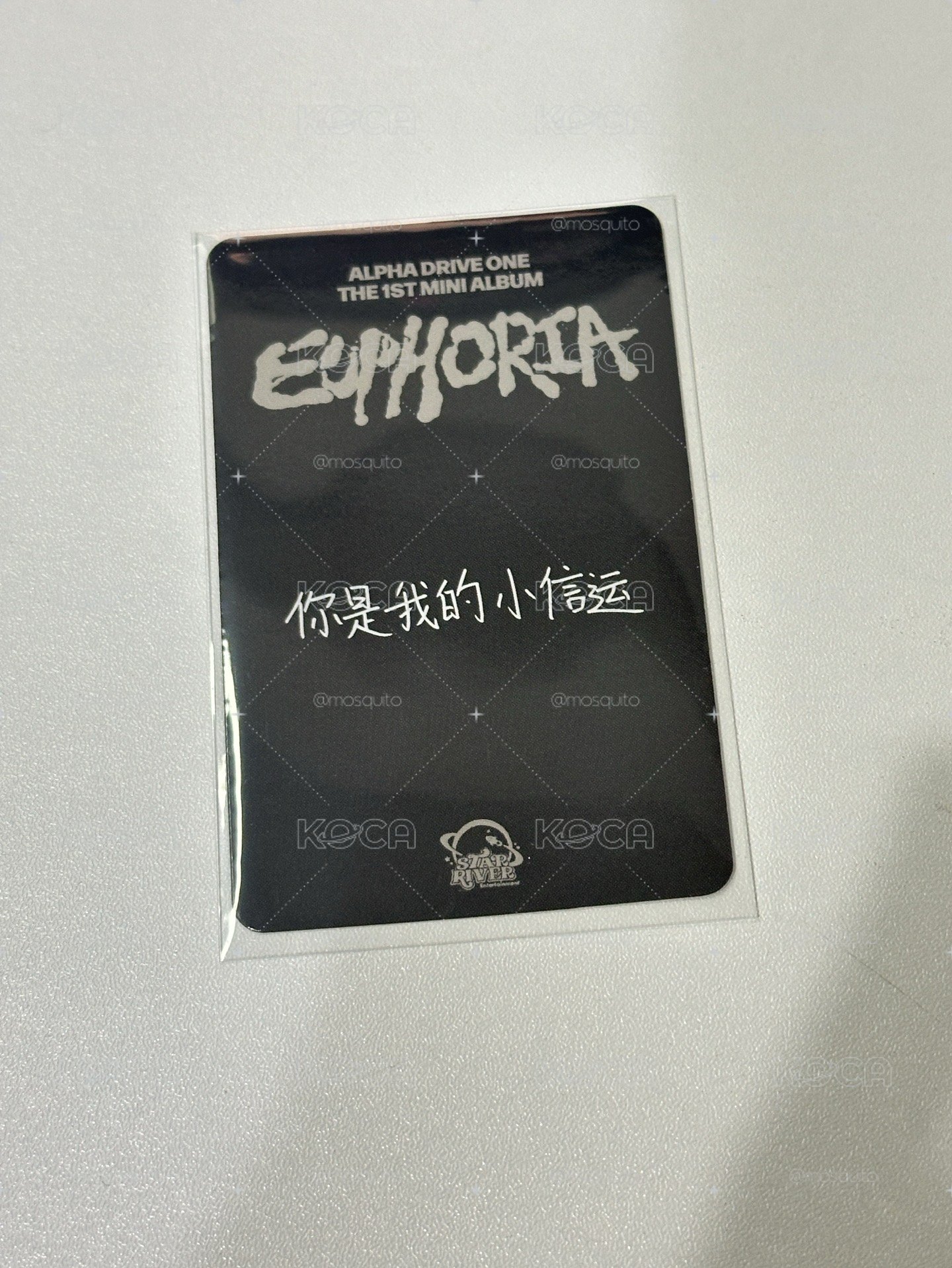 你是我的小信運