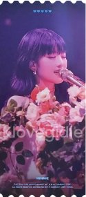 23世巡 DVD 票卡 