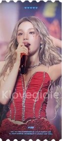 23世巡 DVD 票卡 