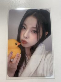 鴨子圭