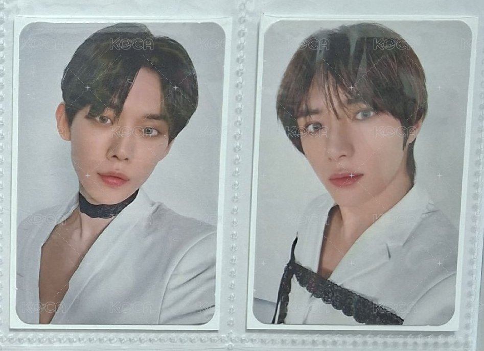 上排