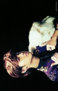 Dazzling Girl 專輯卡 