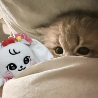 (抽IVE演唱會免費門票9/11場（主頁有證明）