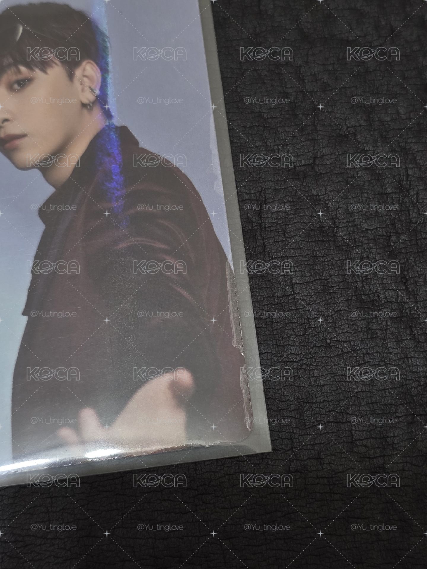 FEniX 專輯卡 一專卡
