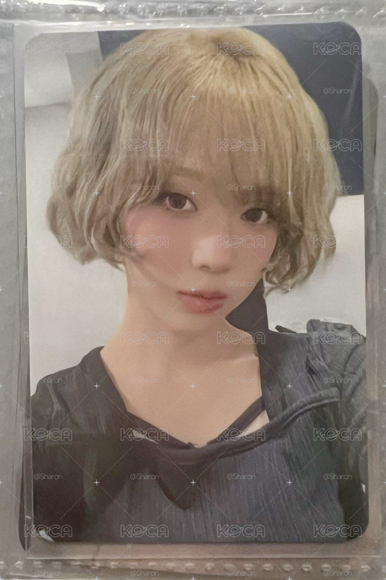 ms冬