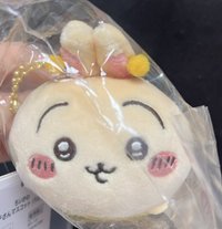 天貓蜜蜂兔兔