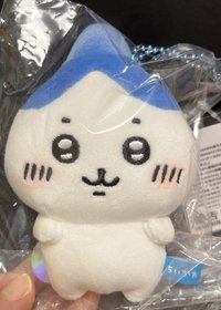 天貓尖頭小八