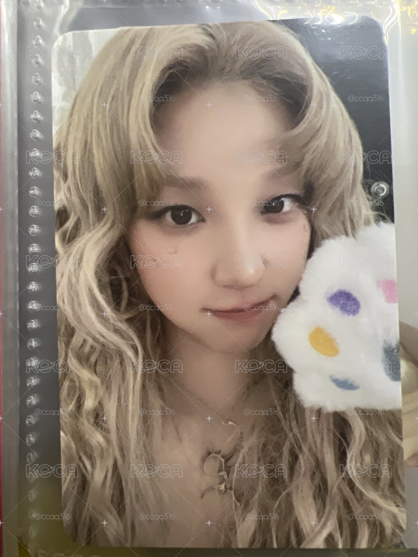 雨琦貓掌小卡