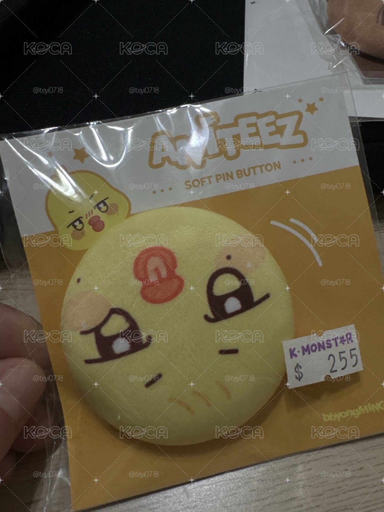 Aniteez 蹦旼 大臉軟徽章( •̅ɞ•̅ )