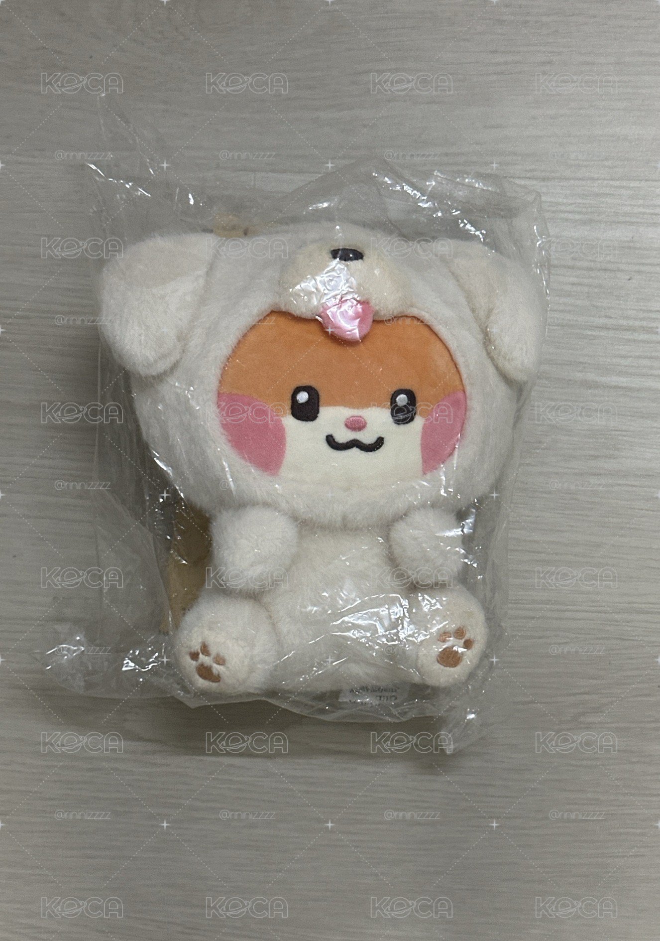 冰冰萌狗狗🐶