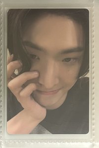捧臉琦
