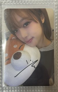 迷五 ms 台北 簽售卡 柴犬 ver.