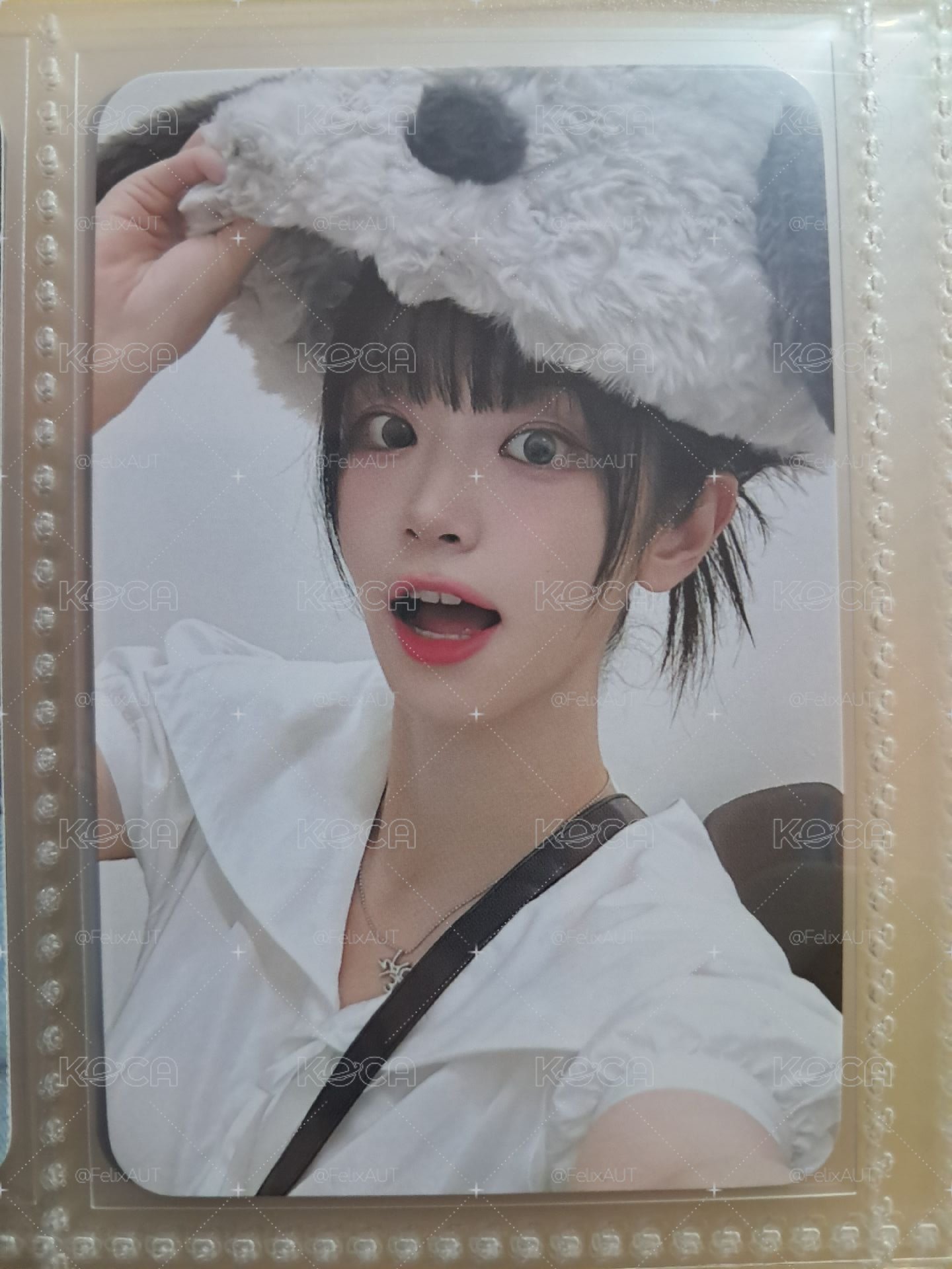 小狗帽