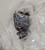 ANITEEZ IN COLOR 隨機毛絨傘榮 隨機小吊飾榮