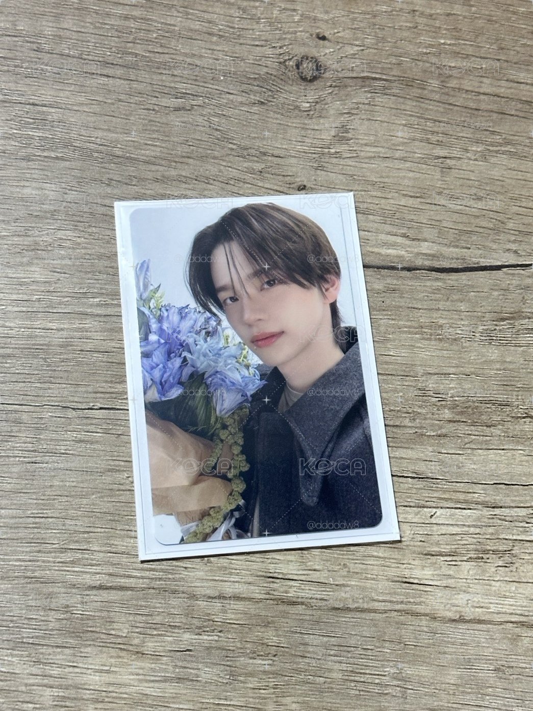 迷五 申惟 wvs特典卡