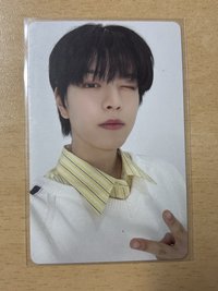 眨眼萌狗