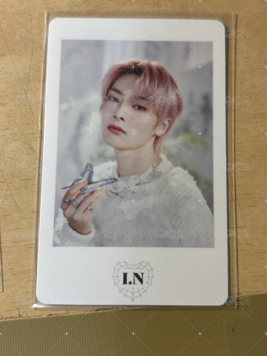 粉髮寅