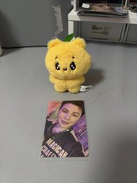 正五專卡