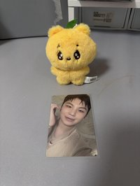正五WVS特典