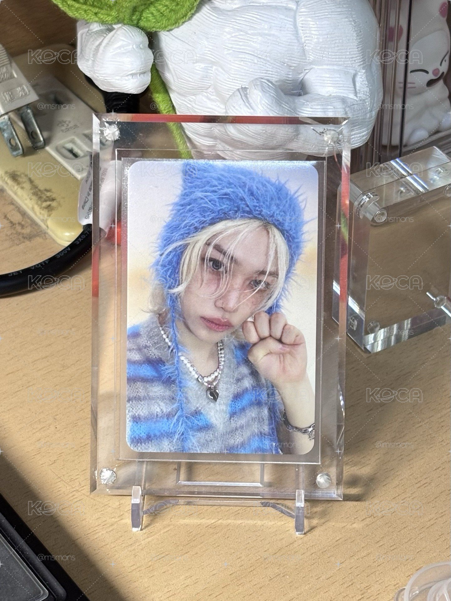 絨毛貓爪菲