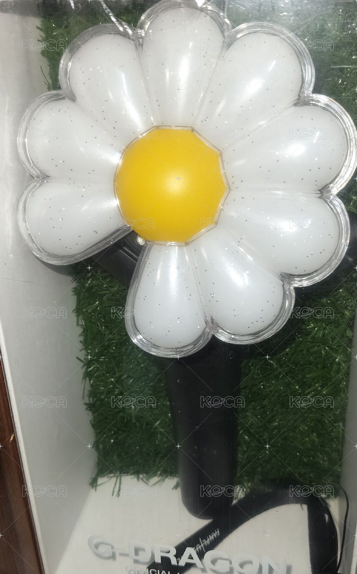大手燈DayG