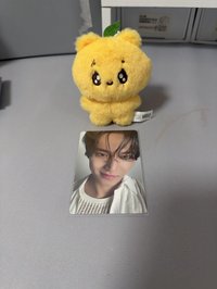 迷11專卡