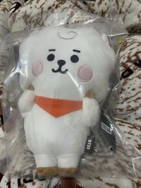 中娃 BT21 RJ寶寶8吋娃娃