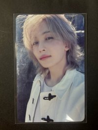黑背（不明顯點損）