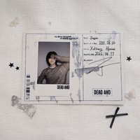 Boy in Chic 訊息明信片 酥