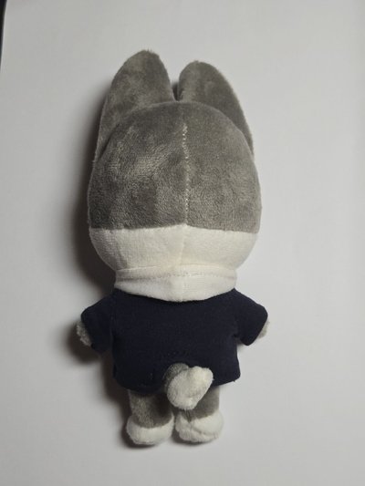 SKZ 燦狼 15公分娃