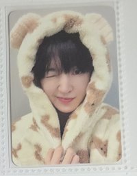 迷三ms小熊