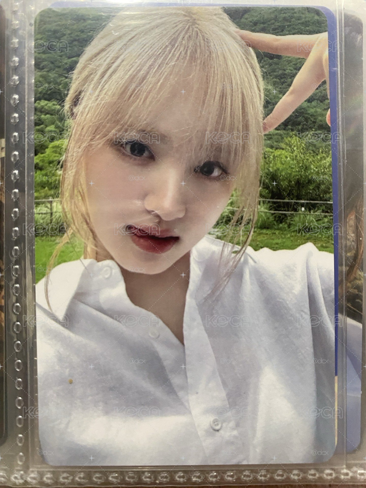 IVE 金志垣 Liz I'VE MINE wm 2.0 森林金髮白衣貓耳栗🌳