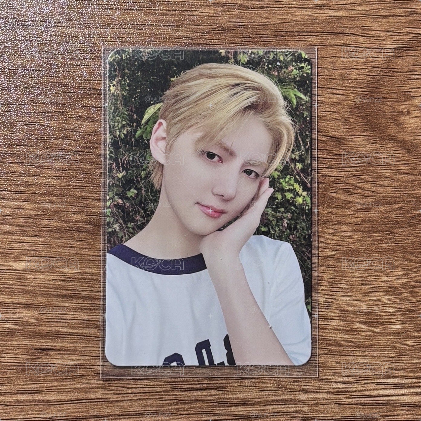 ☑️SEUNGMO 專輯卡