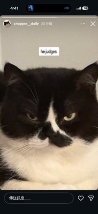 八百
