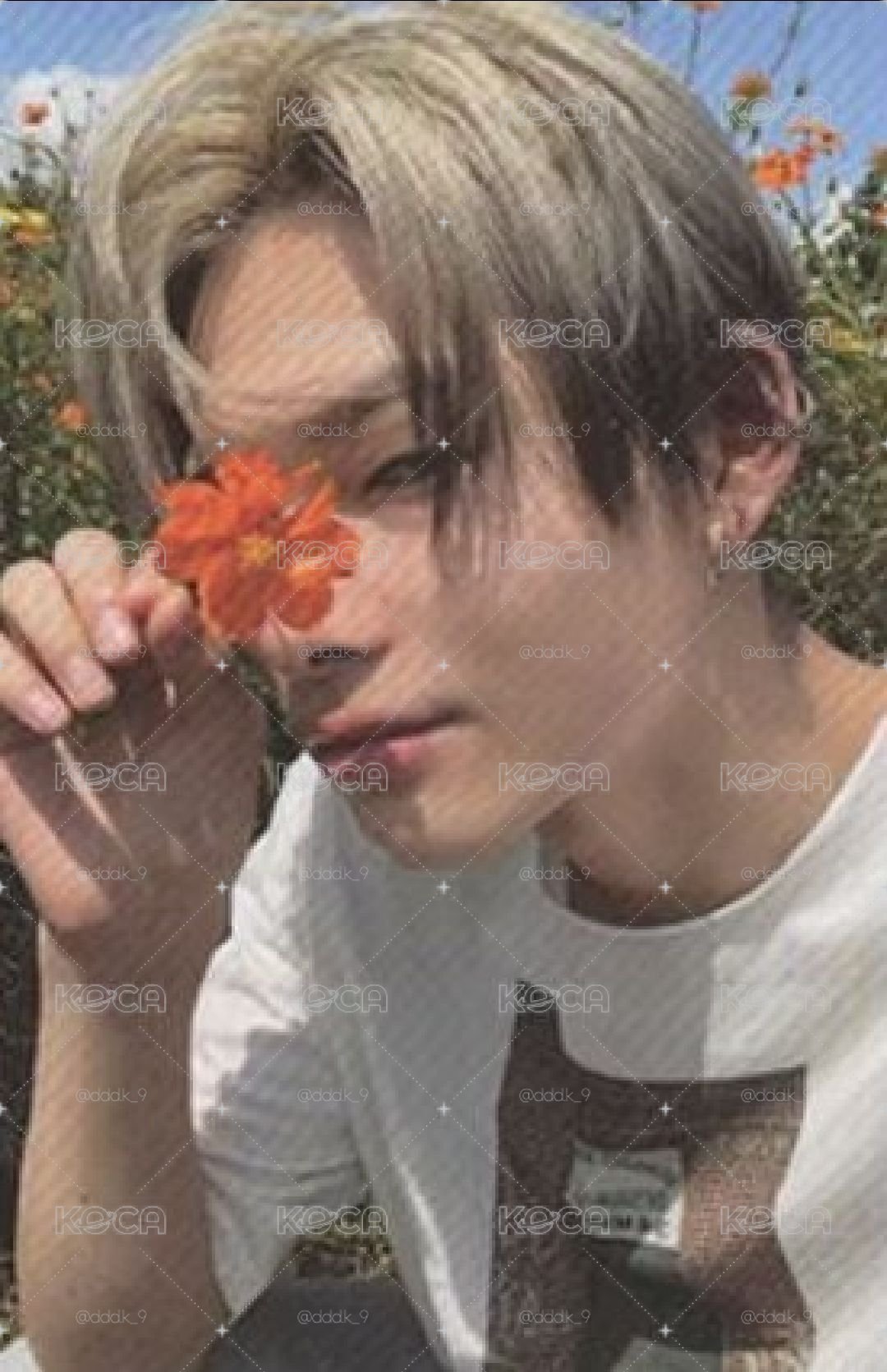拿花力
