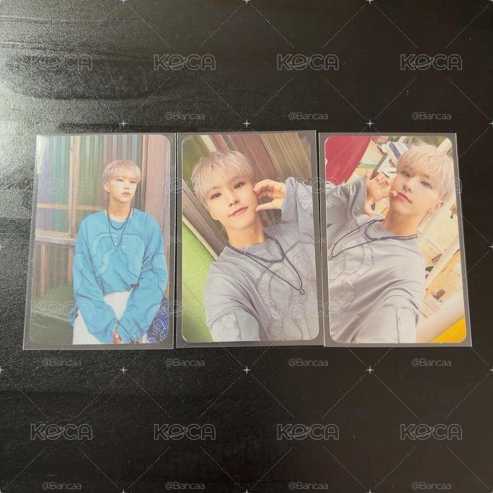 seventeen 迷12 電子專 Hoshi 榮